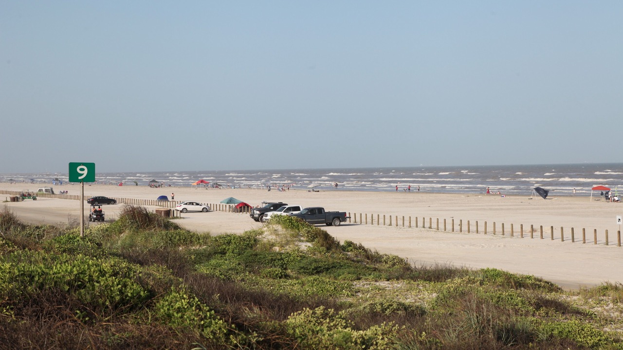 Photo of Others in Sand Point