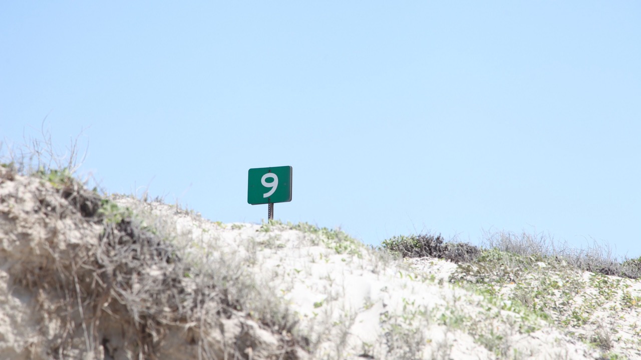 Photo of Others in Sand Point
