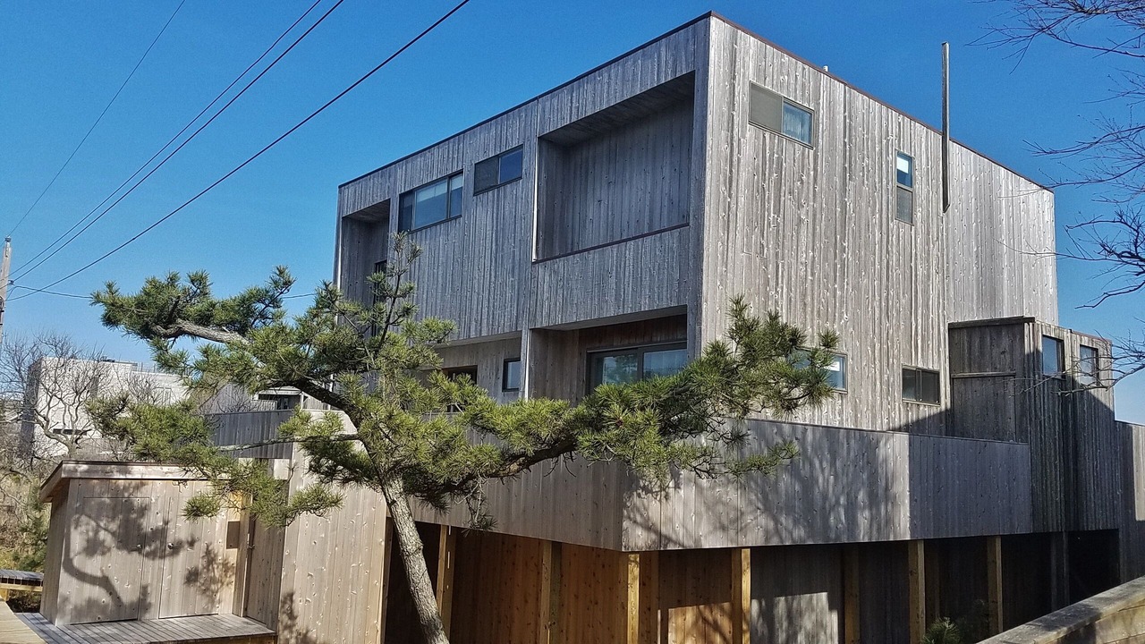 Photo of Others in Fire Island Pines