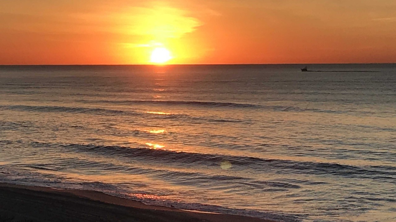 Photo of Others in Fire Island Pines
