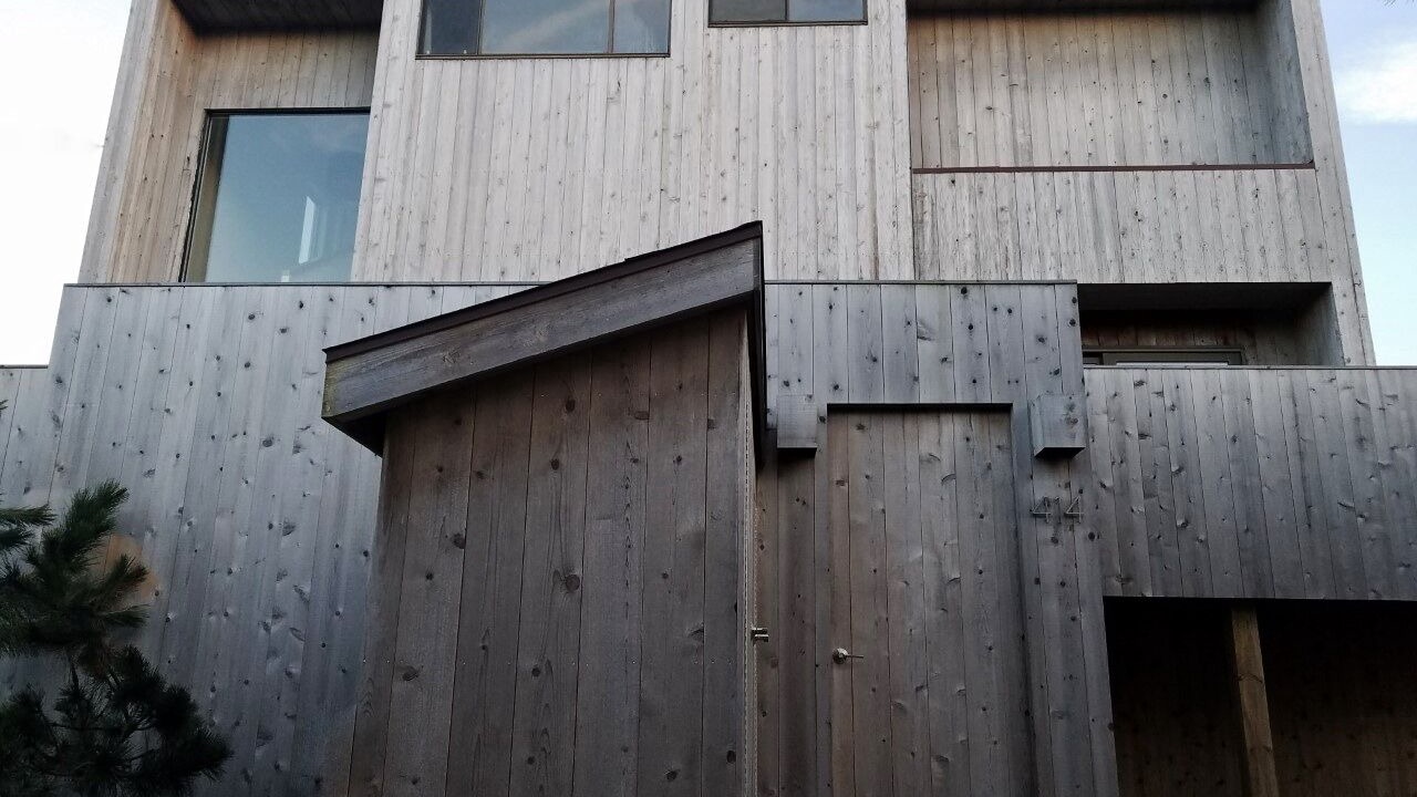 Photo of Others in Fire Island Pines