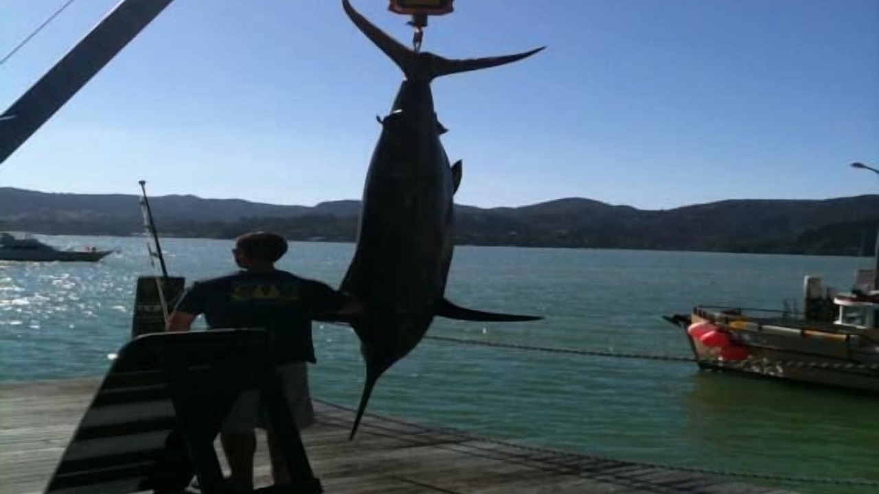 Photo of Others in Whangaroa