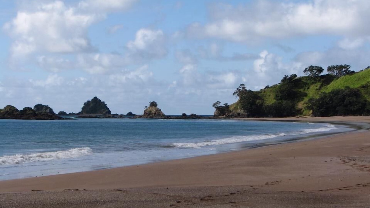 Photo of Others in Whangaroa