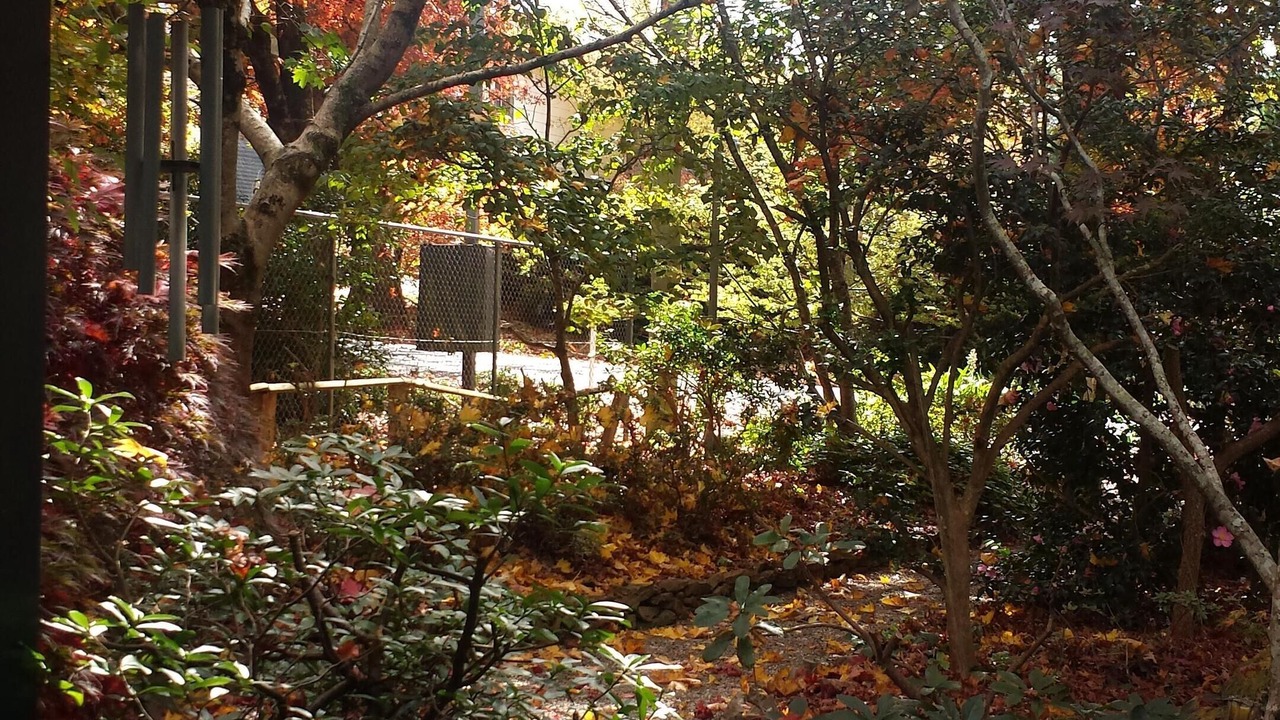 Photo of Outdoor in Blackheath