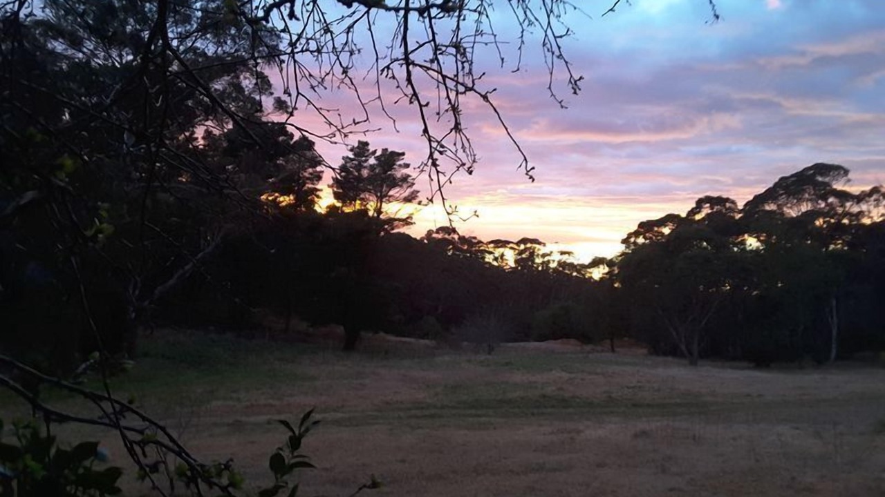 Photo of Outdoor in Blackheath