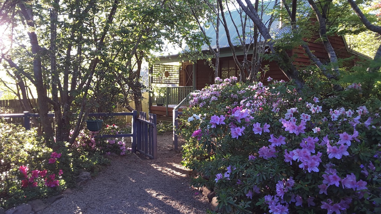 Photo of Outdoor in Blackheath