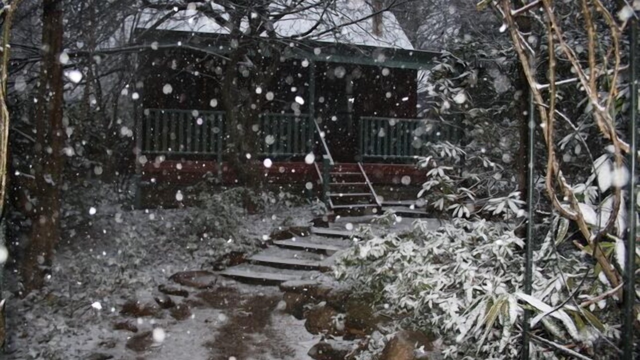 Photo of Outdoor in Blackheath