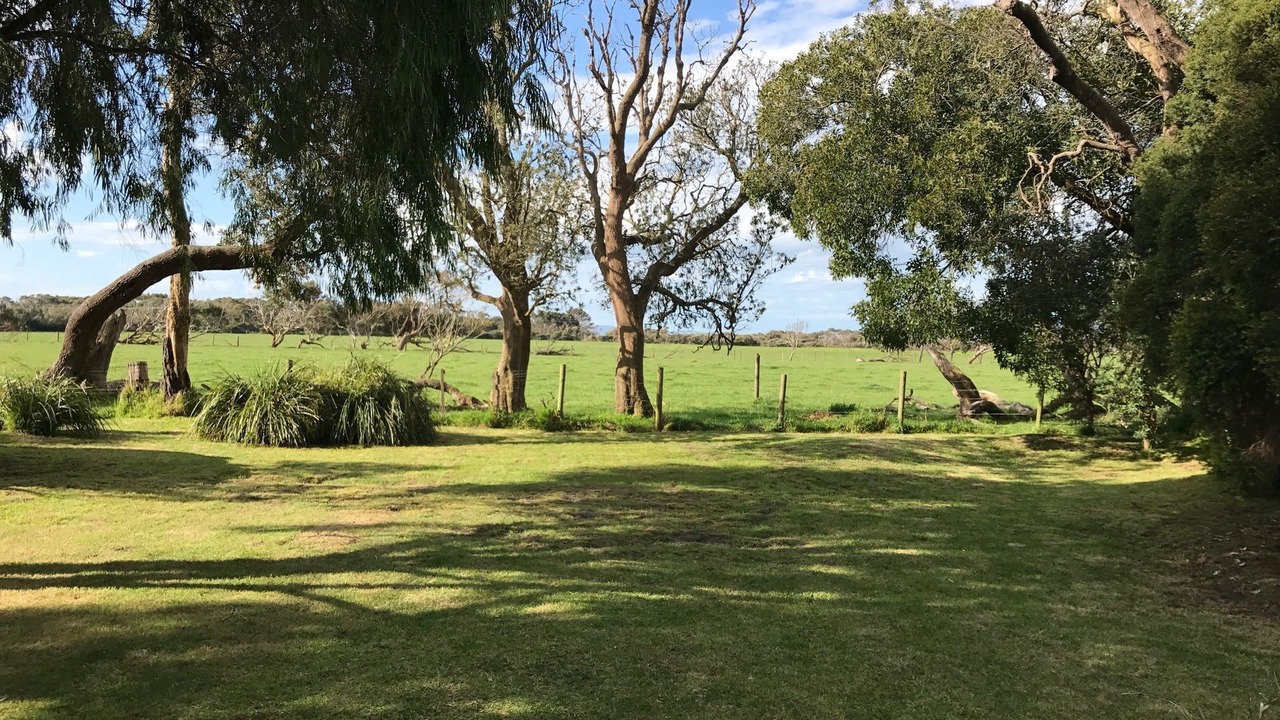 Photo of Outdoor in Sandy Point