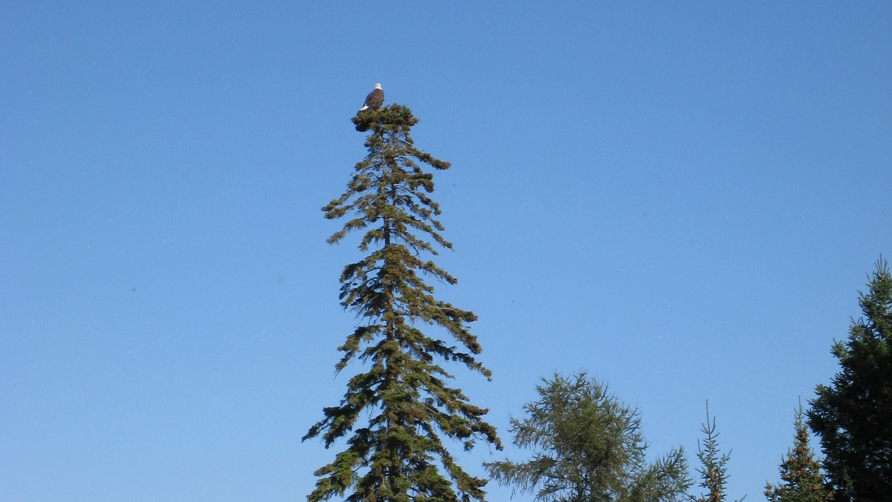 Photo of Others in Mackinaw City
