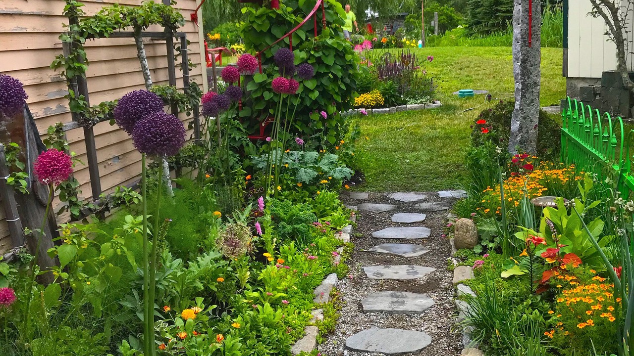 Photo of Outdoor in Owls Head