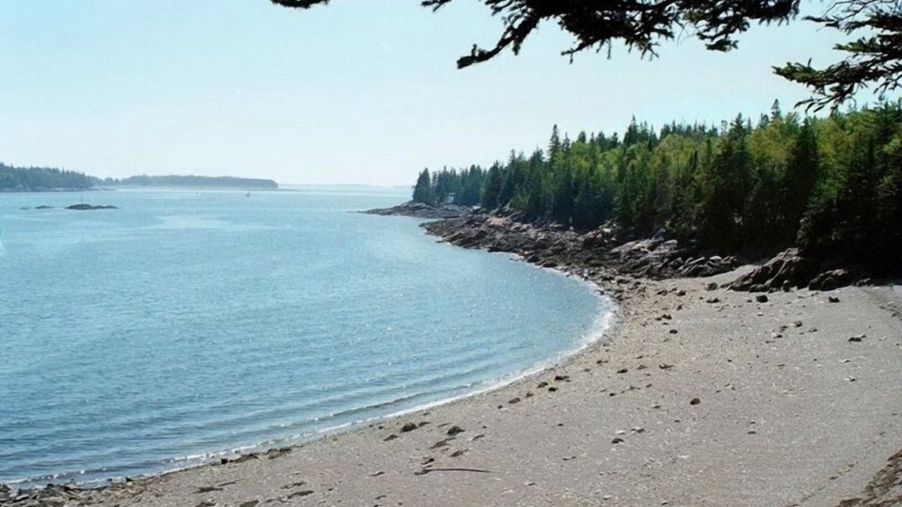 Photo of Others in Owls Head