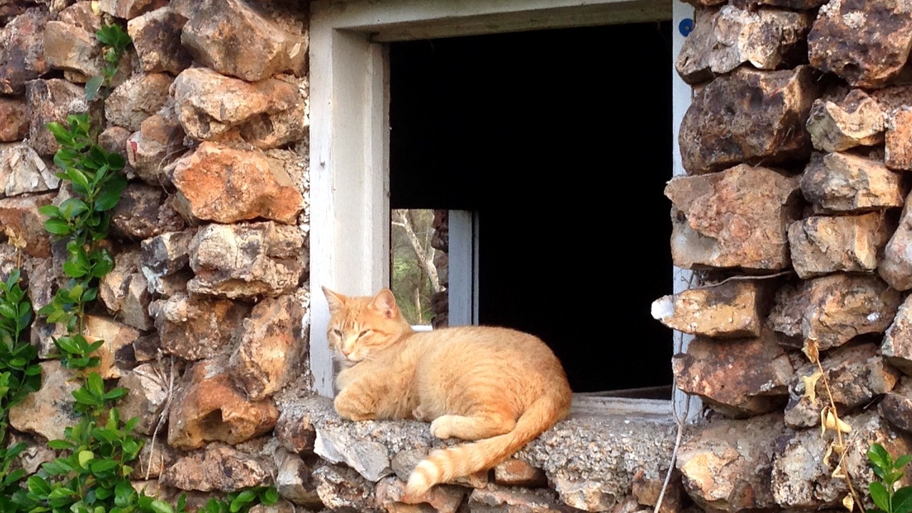 Photo of Outdoor in Carthage