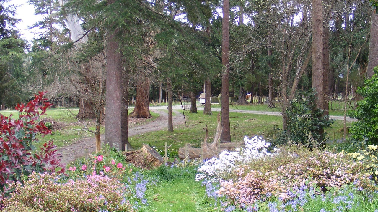 Photo of Outdoor in Wairarapa