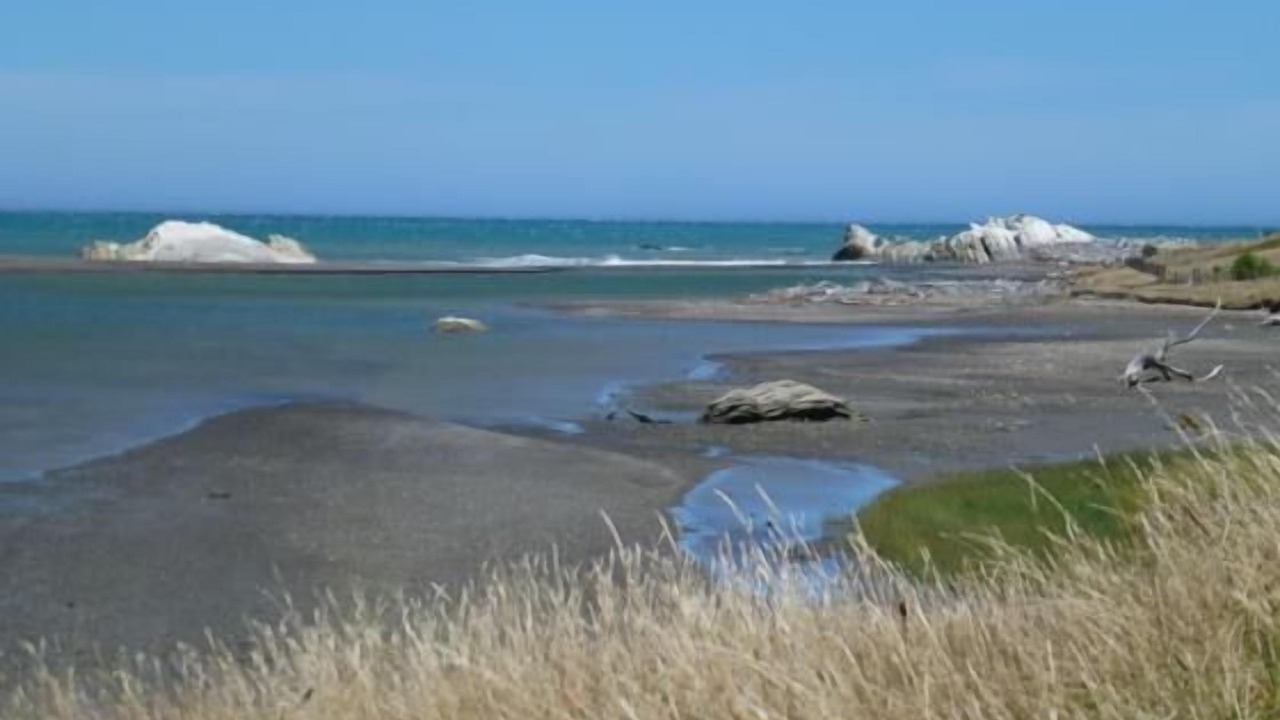 Photo of Others in Wairarapa