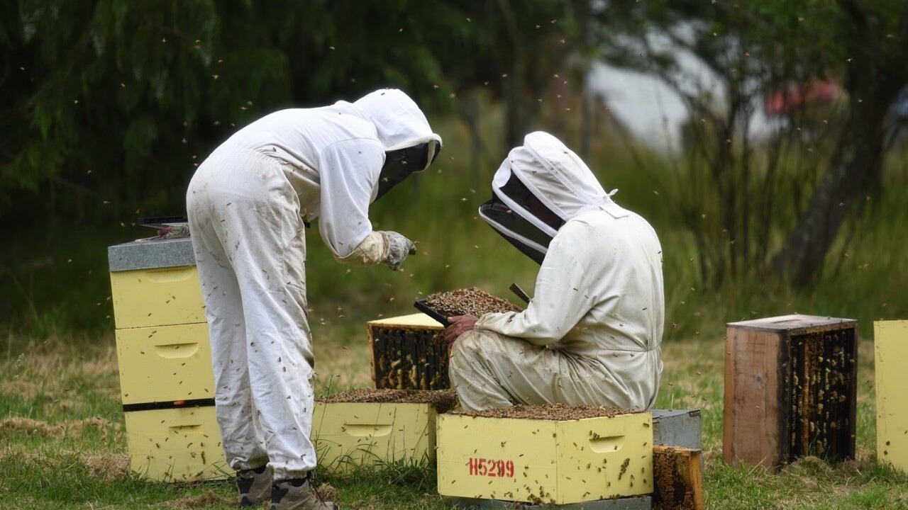 Photo of Others in Wairarapa