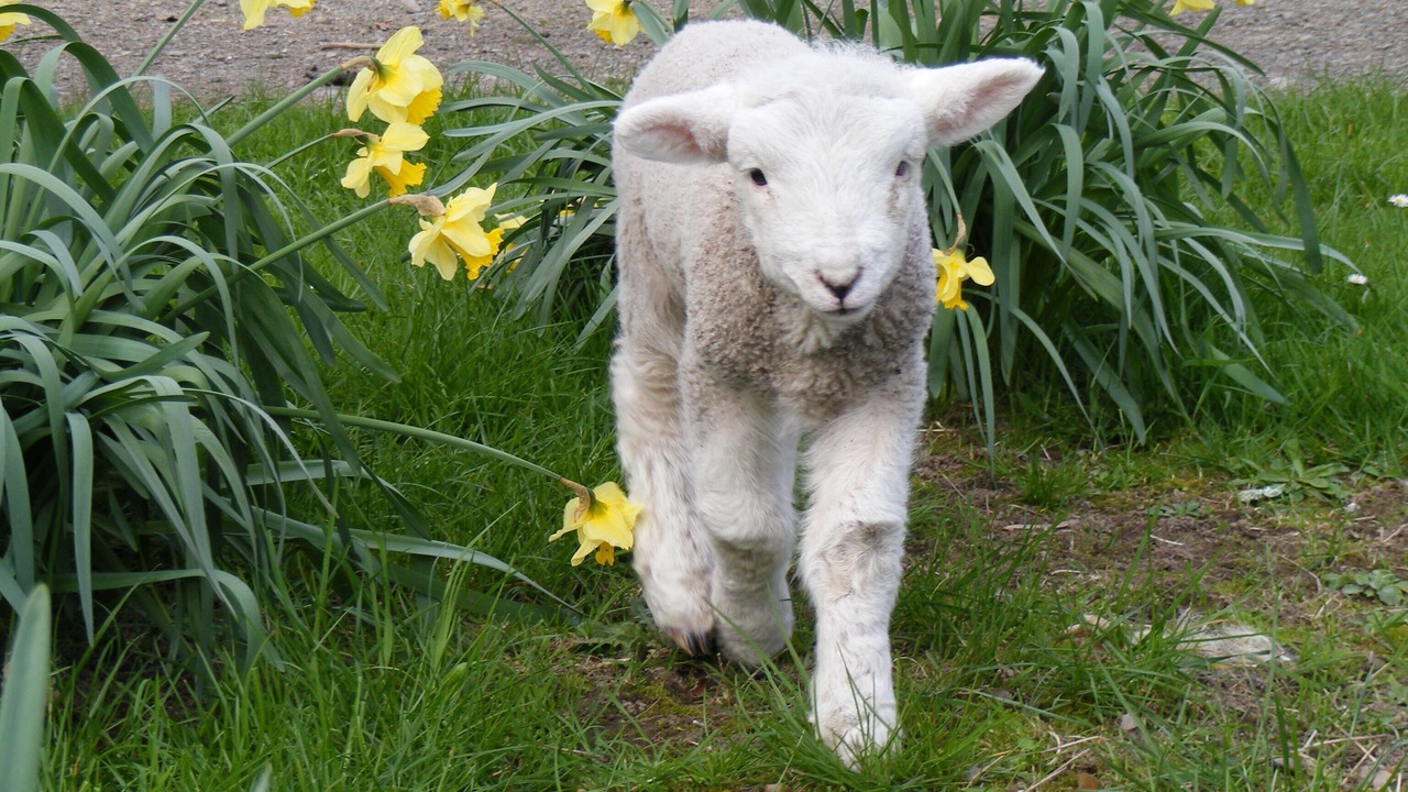 Photo of Outdoor in Wairarapa