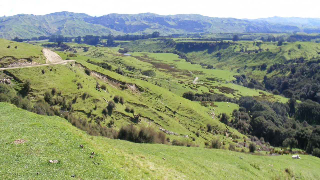 Photo of Others in Wairarapa