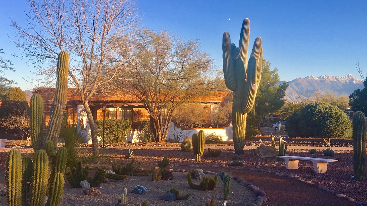 Photo of Outdoor in Green Valley