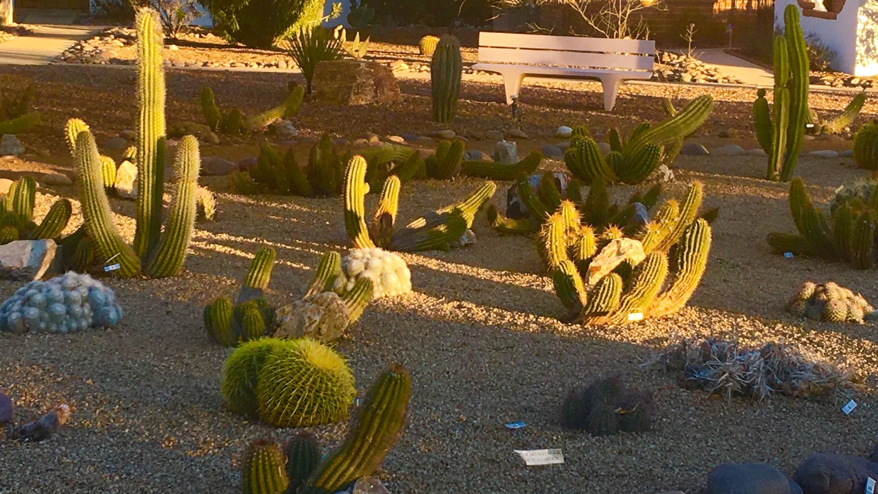 Photo of Outdoor in Green Valley