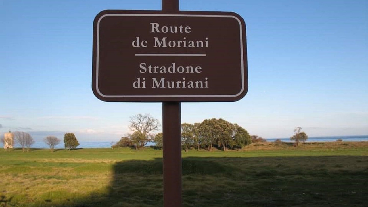 Photo of Outdoor in Moriani-Plage