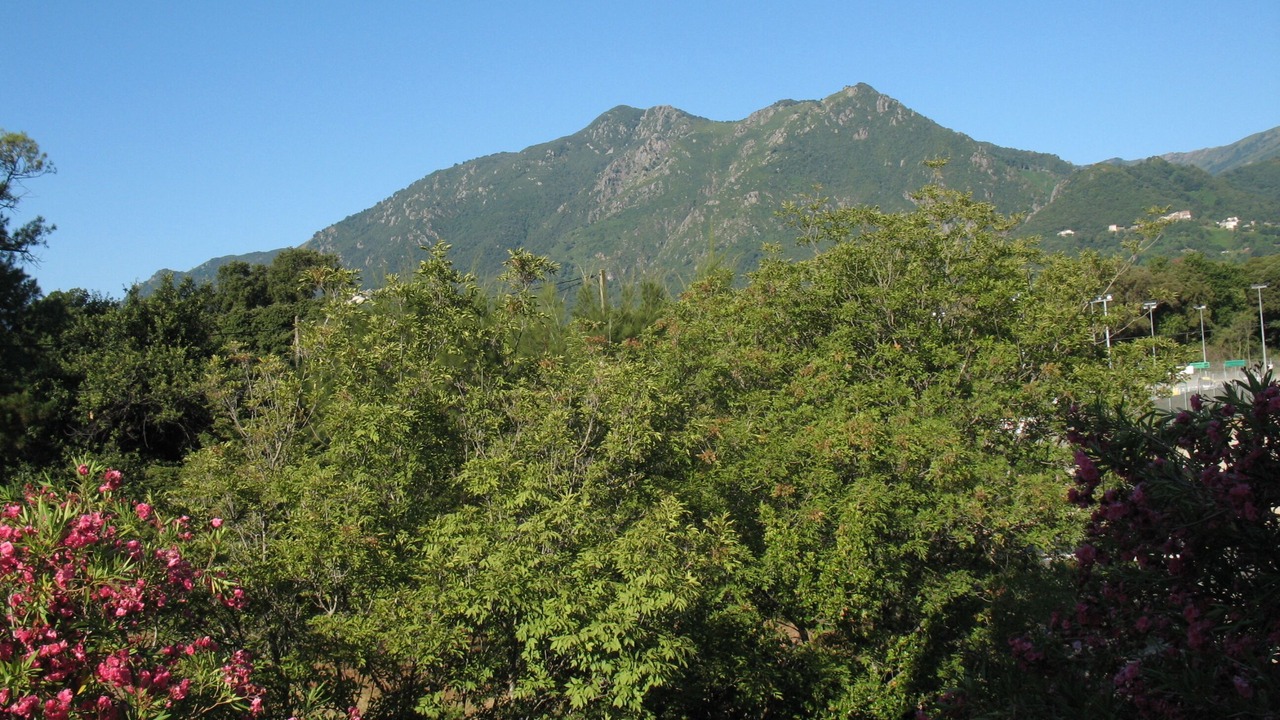 Photo of Outdoor in Moriani-Plage