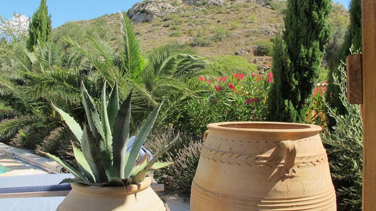 Photo of Outdoor in Fitou