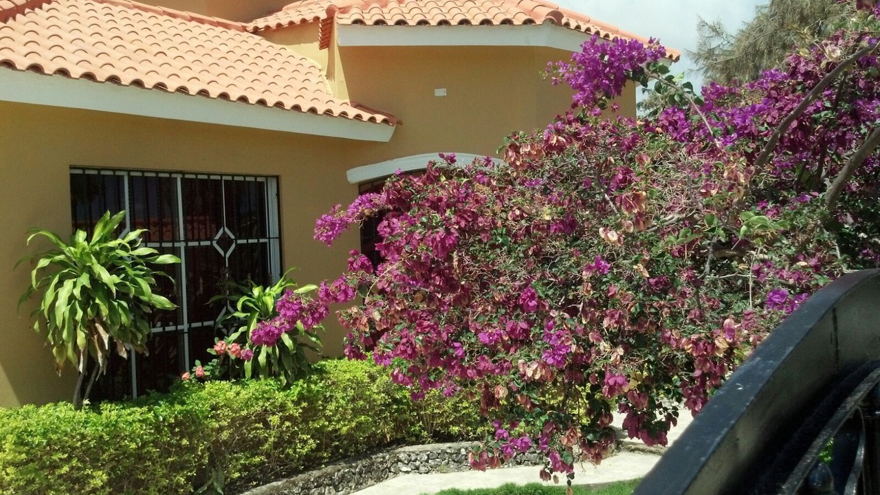 Photo of Outdoor in Cabrera