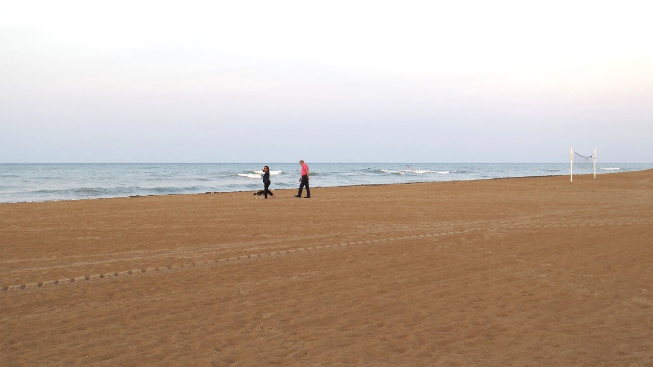 Photo of Others in Denia