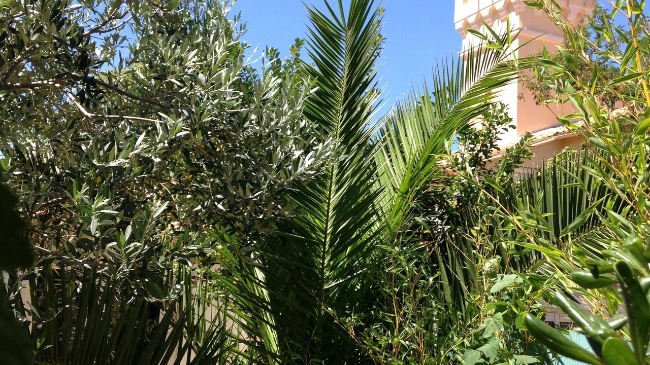 Photo of Outdoor in Le Brusc