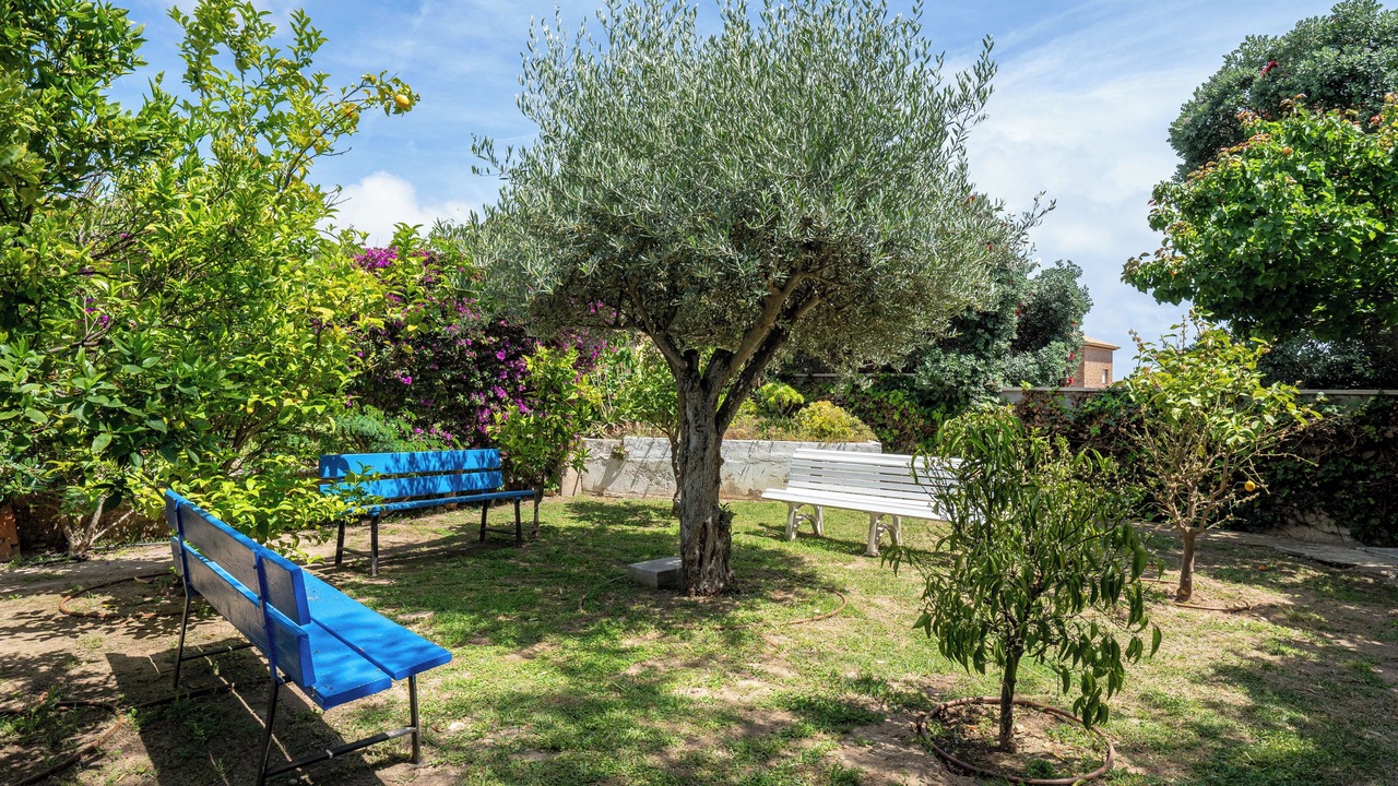 Photo of Outdoor in El Vendrell