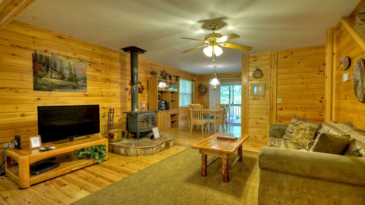Photo of Livingroom in Mineral Bluff