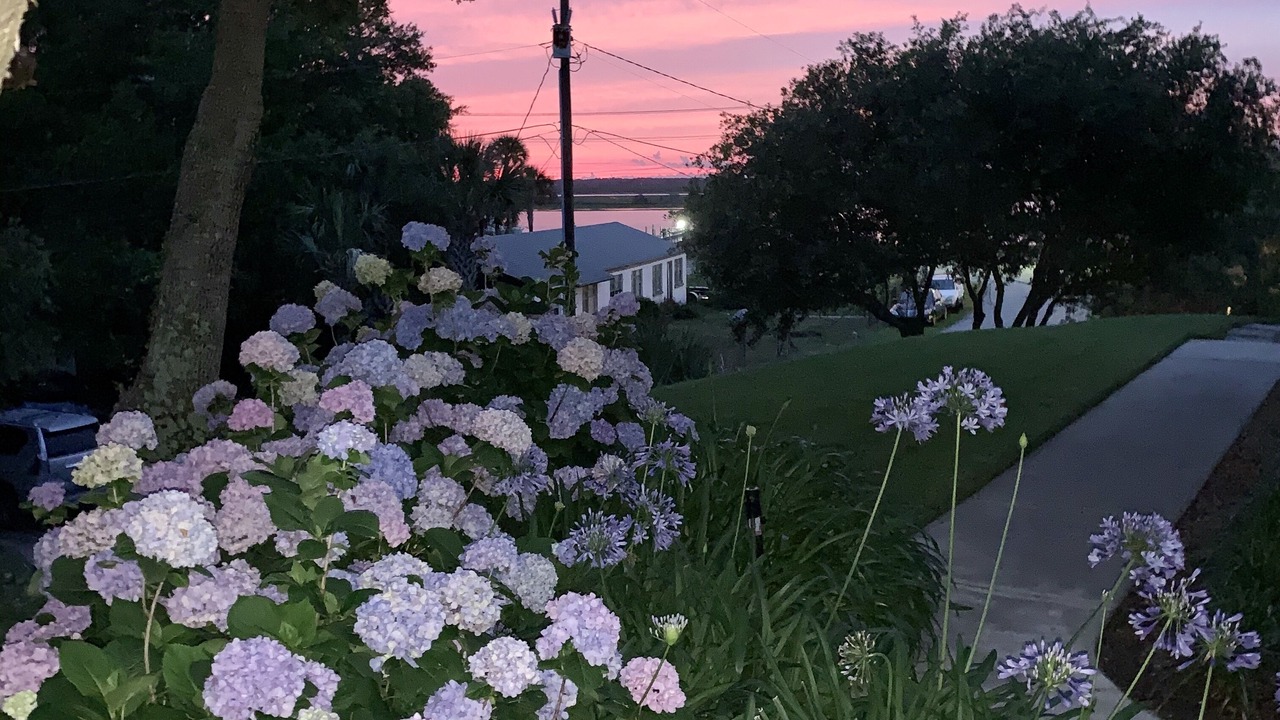 Photo of Others in Isle of Palms