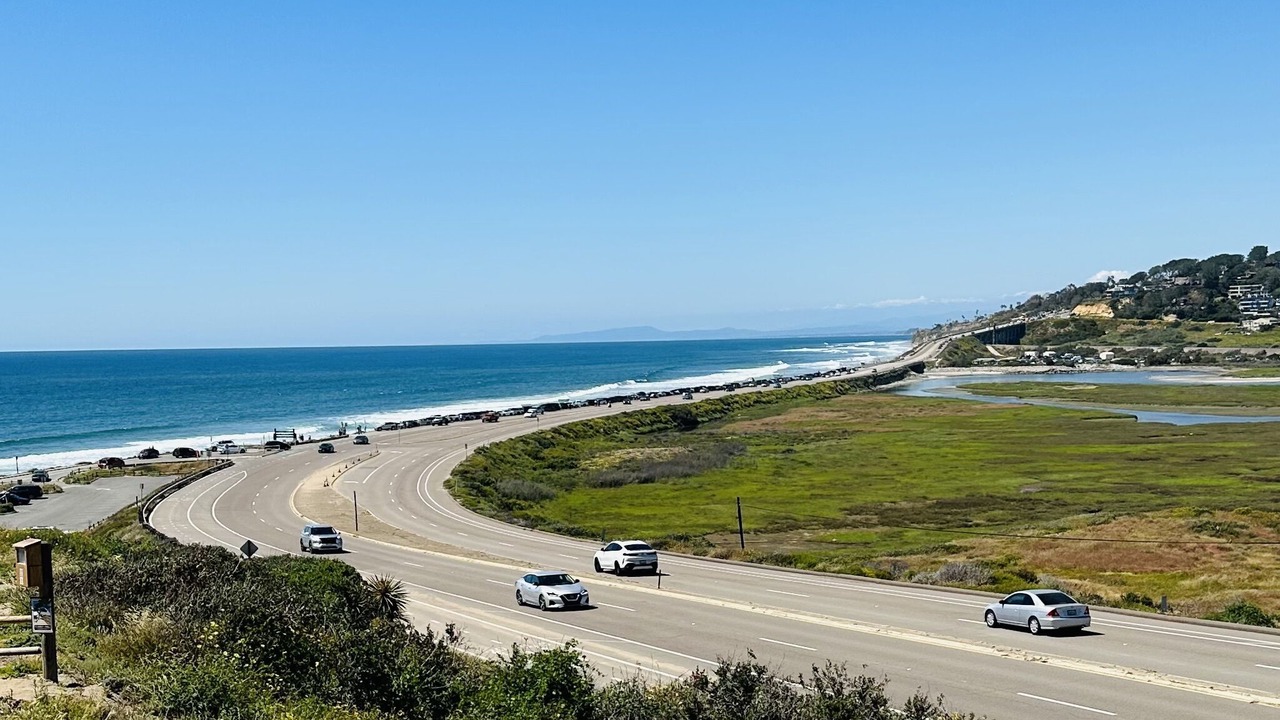Photo of Others in Del Mar Heights