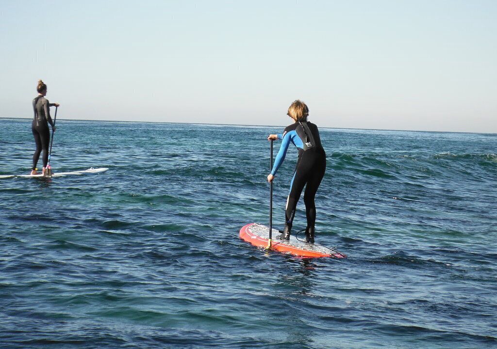 Photo of Others in Del Mar Heights