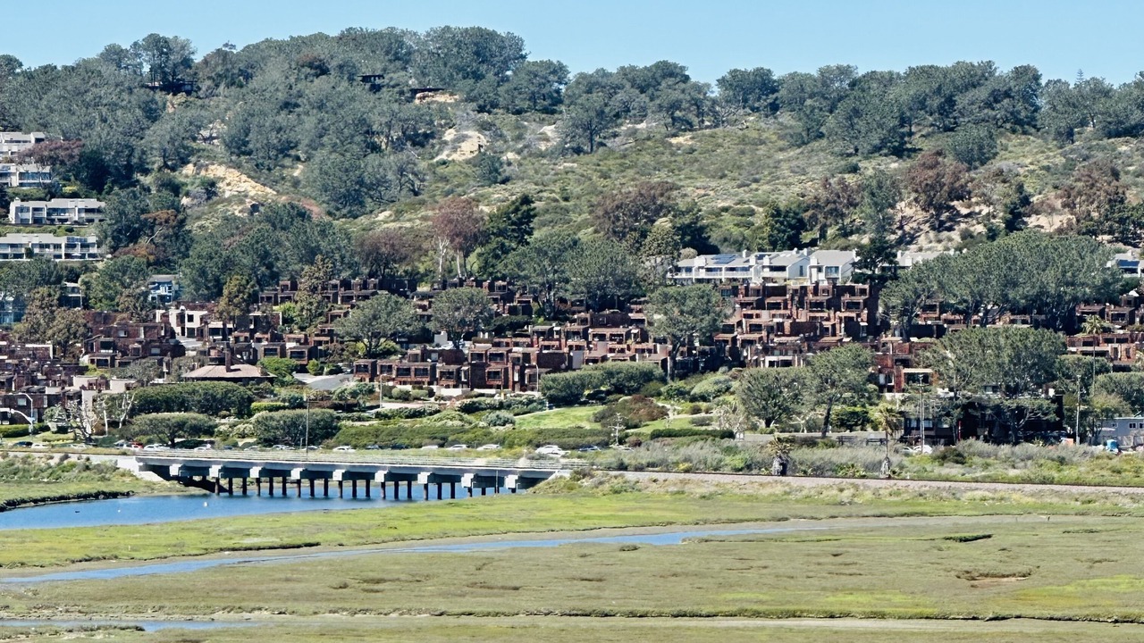 Photo of Others in Del Mar Heights