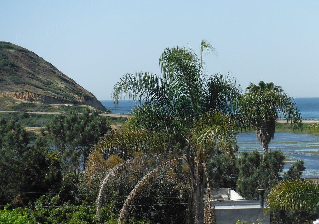Photo of Patio Balcony in Del Mar Heights