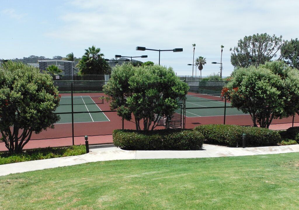 Photo of Others in Del Mar Heights