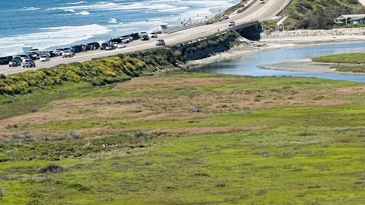 Photo of Others in Del Mar Heights