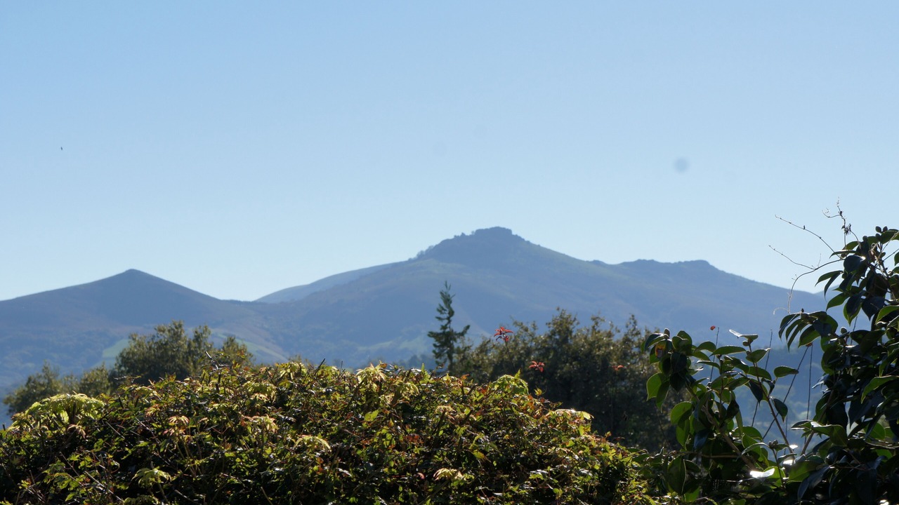 Photo of Others in Souraide