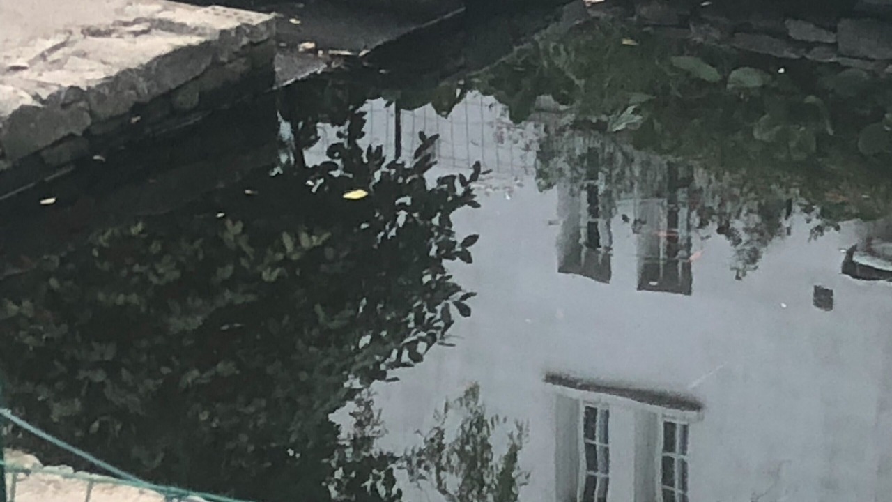 Photo of Others in La Tourlandry