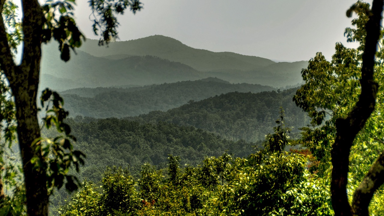 Photo of Others in Blue Ridge