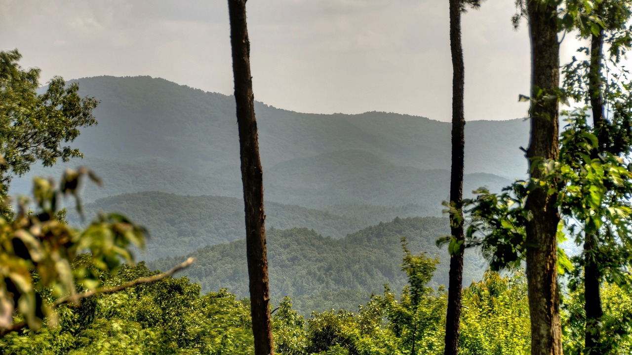 Photo of Others in Blue Ridge