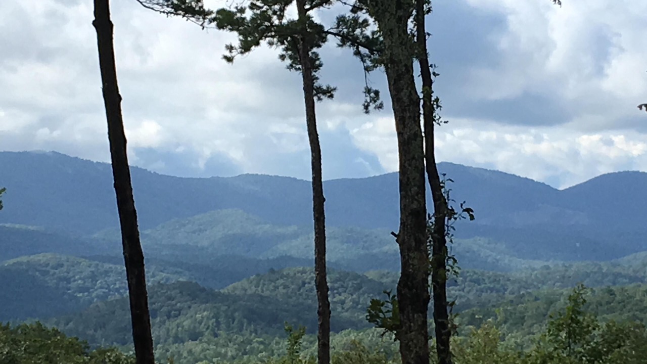 Photo of Others in Blue Ridge