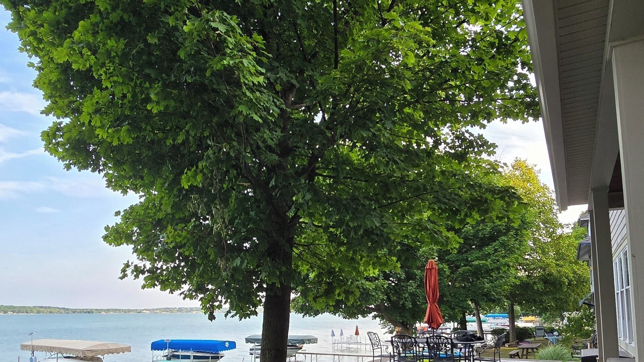 Photo of Others in Canandaigua