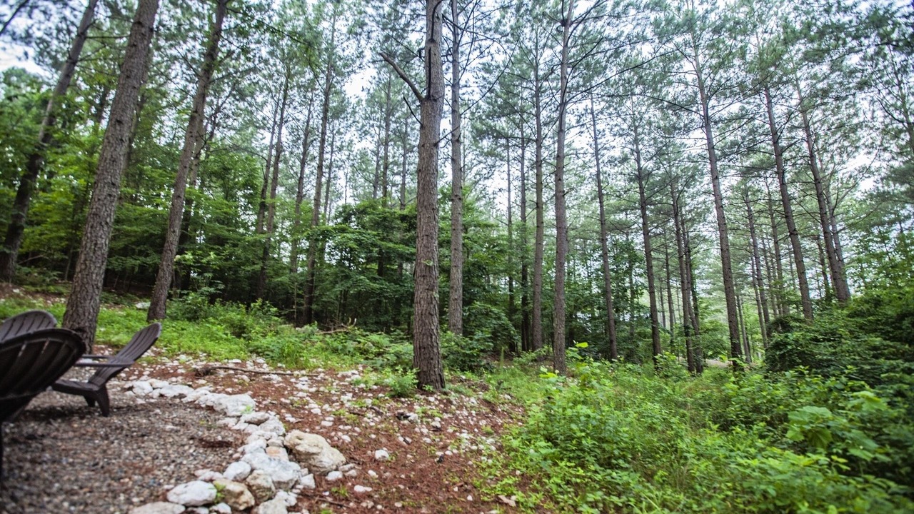 Photo of Outdoor in Broken Bow