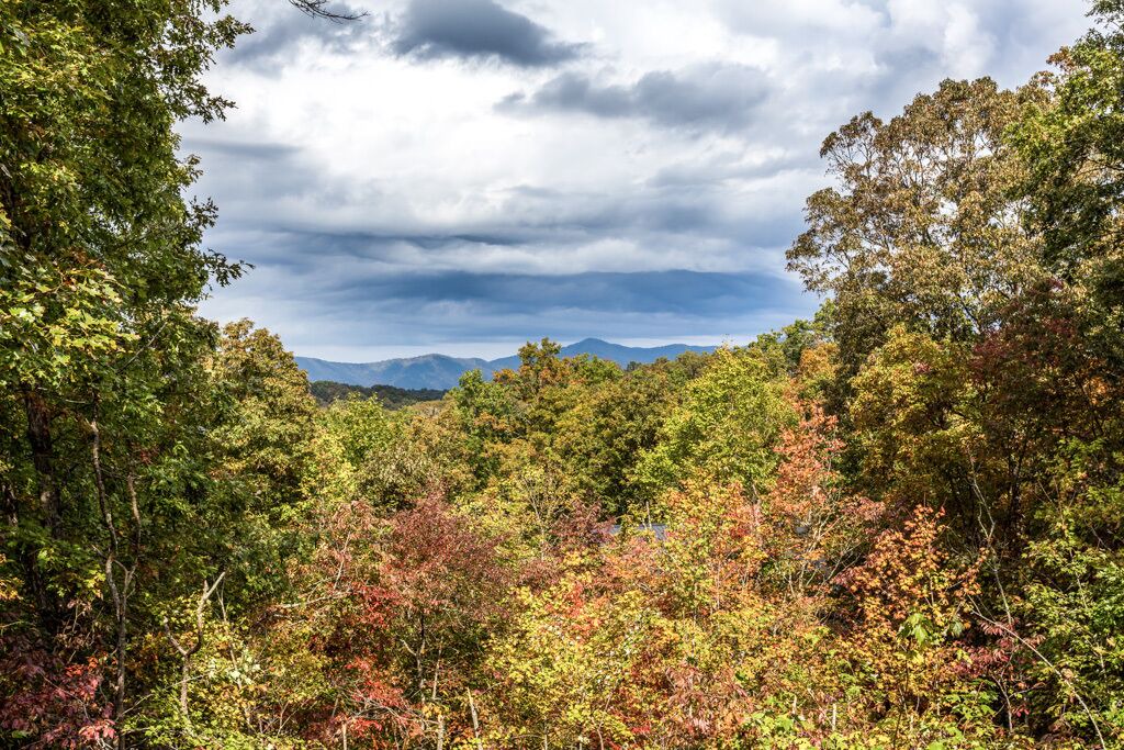 Photo of Others in Copperhill