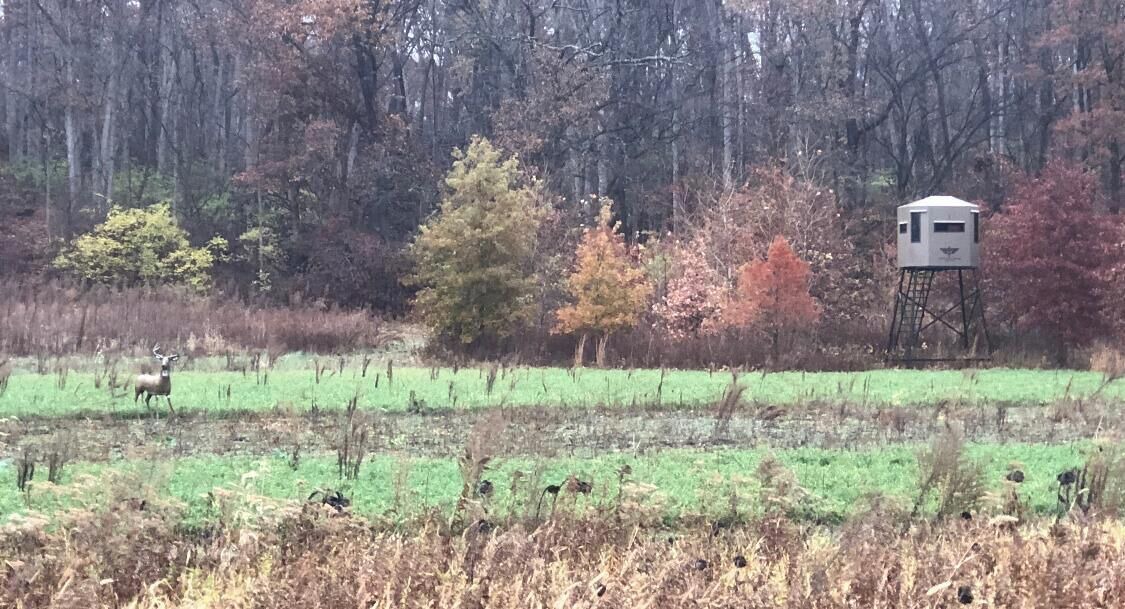 Photo of Others in Girard