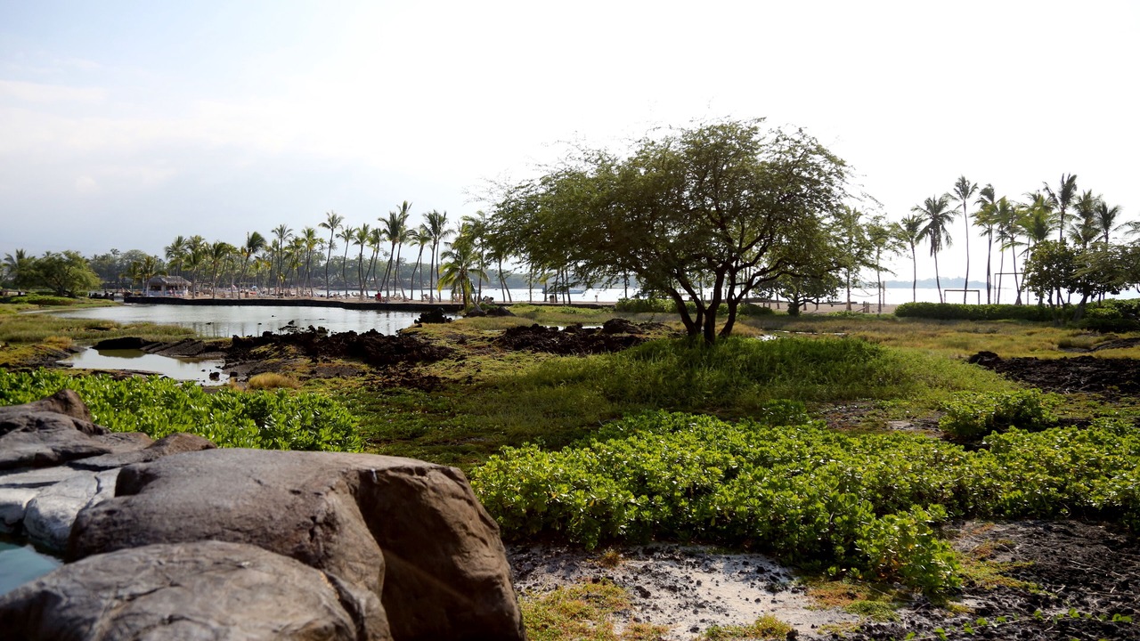 Photo of Others in Waikoloa