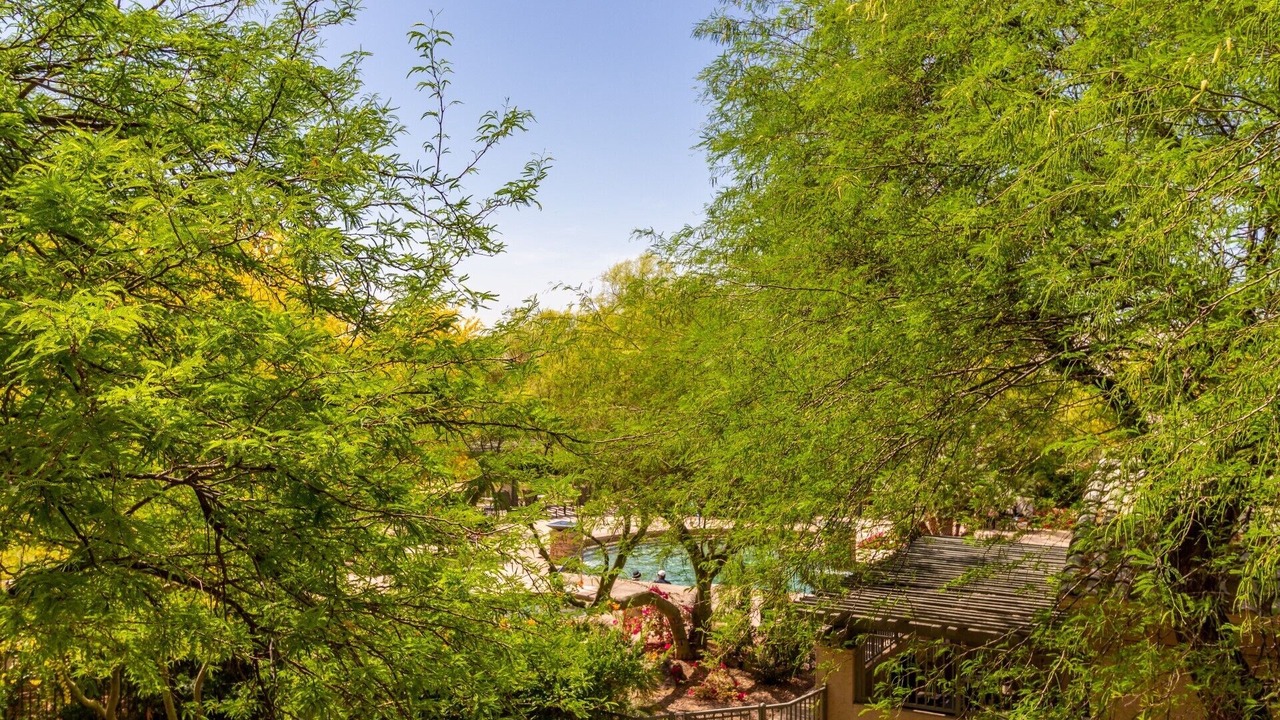 Photo of Outdoor in Foothills