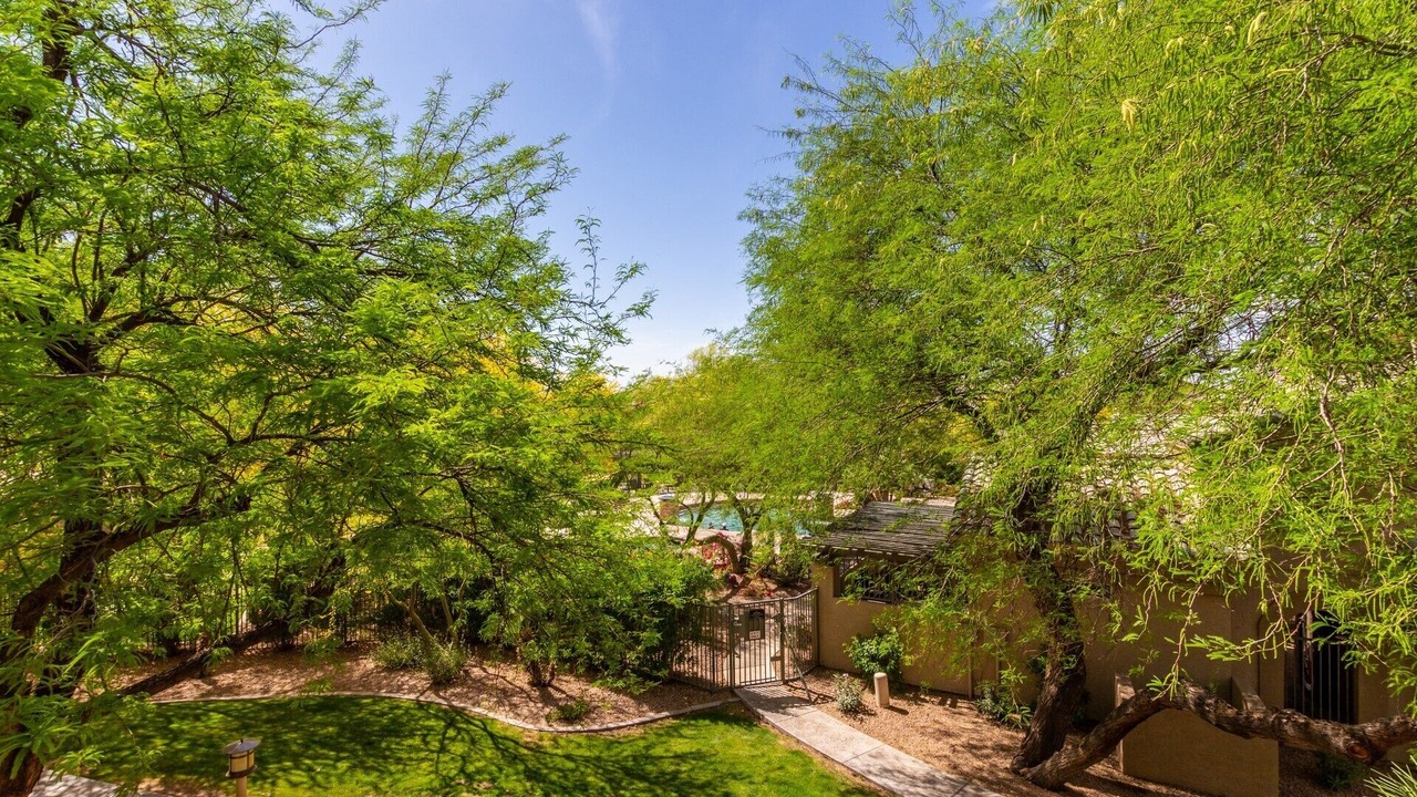 Photo of Outdoor in Foothills